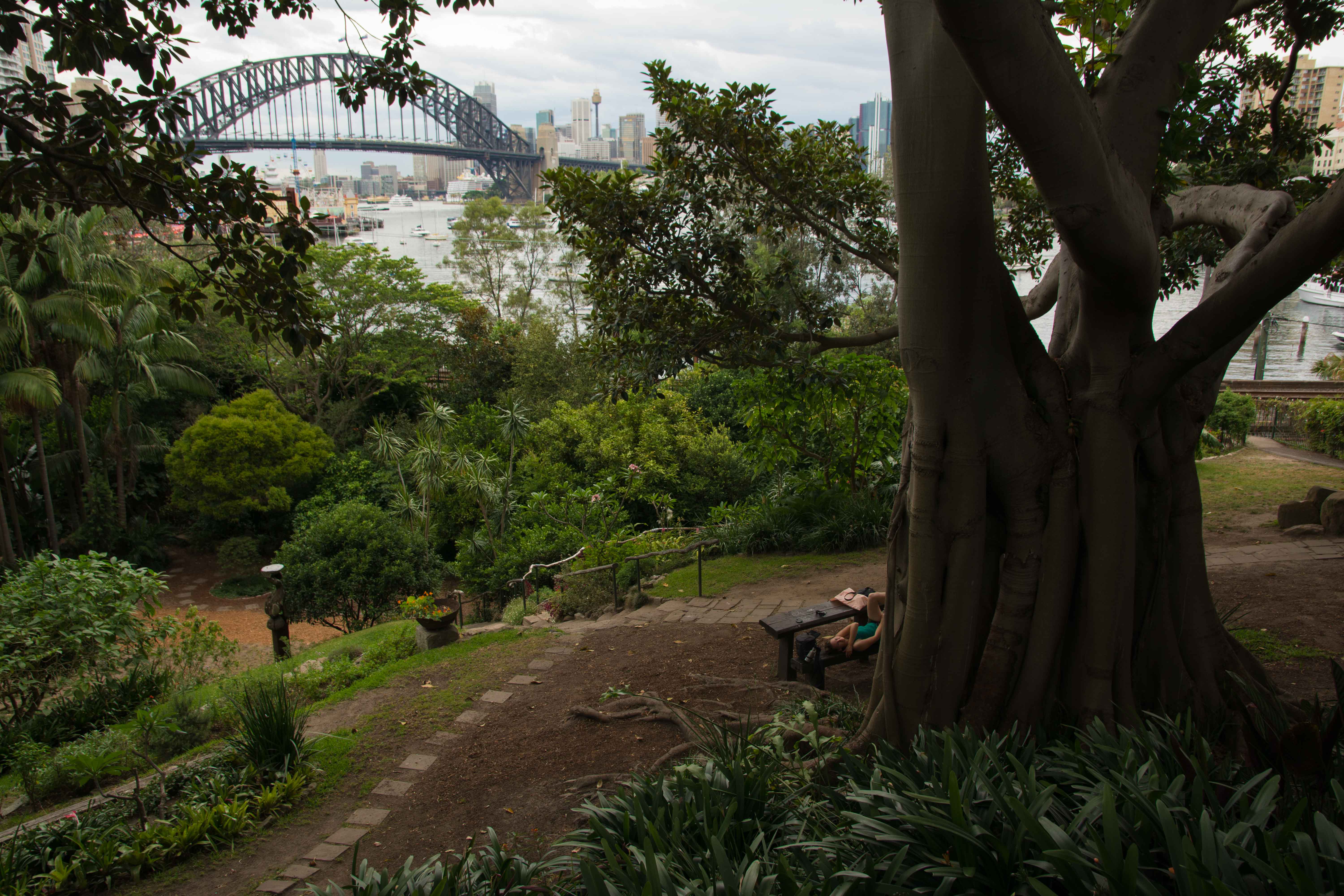 Park